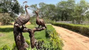 Chandigarh's Bird Park Ensures Birds Stay Warm with Special Arrangements