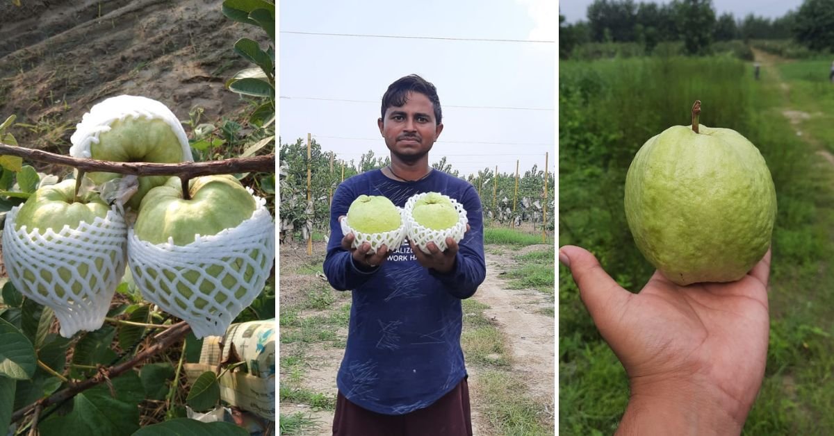 MBA Graduate Farmer Earns ₹4 Lakh per Month, Leaves ₹6 Lakh Job