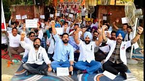 Intern Veterinary Doctors Protest in Ludhiana Over Low Stipend, Demand Fair Compensation