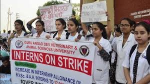 Intern Veterinary Doctors Protest Ludhiana Veterinary Stipend Hike Punjab GADVASU Protest News Veterinary Student Union Punjab Low Stipend for Veterinary Interns