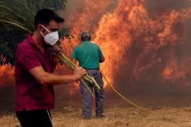 worst wildfire in decades Spain fire news Spain forest fire wildfire destroys land Spain blaze latest New York comparison wildfire Europe wildfire crisis